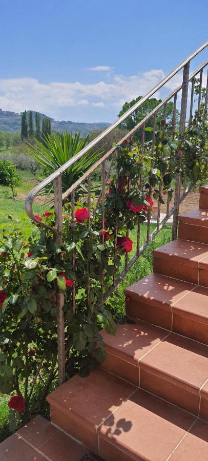 Casa Vacanze Cerreto 3 Miglianico Екстер'єр фото